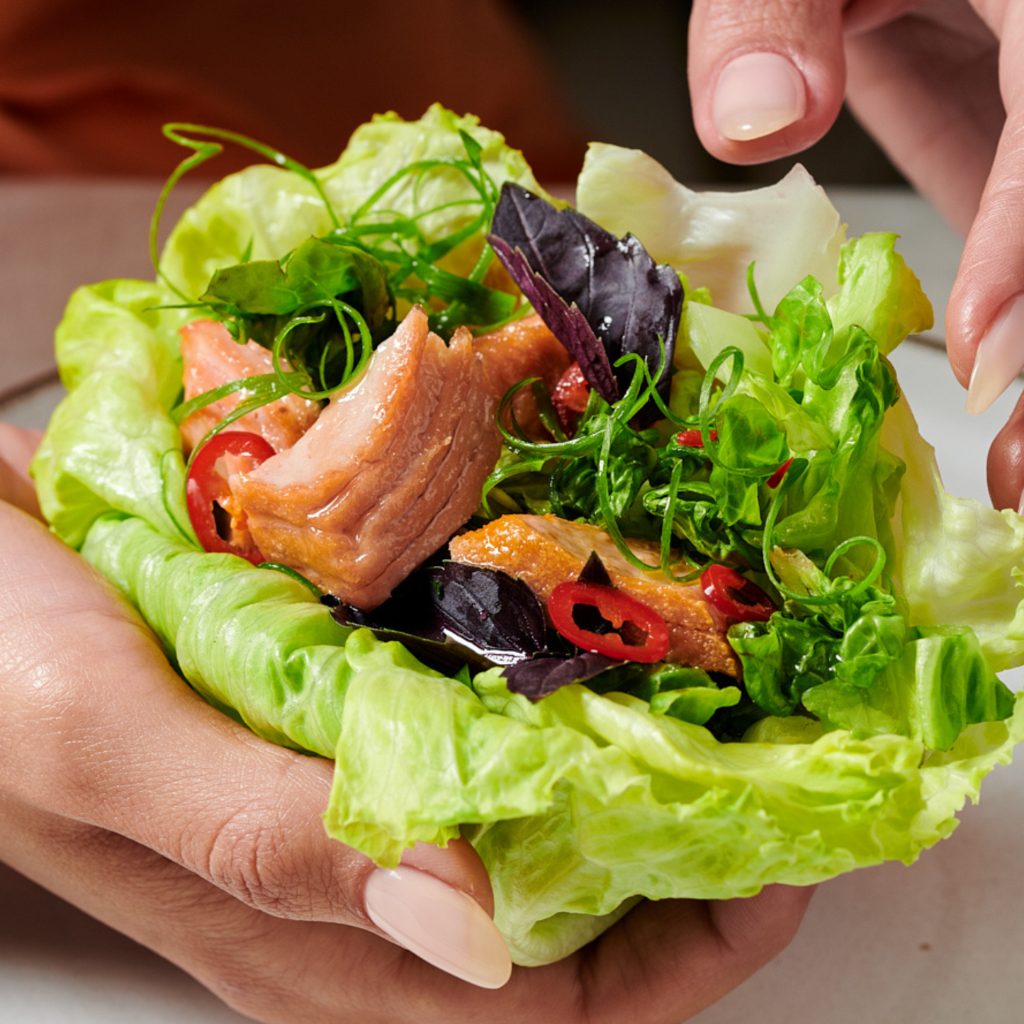 Oshi Plant-Based Salmon Fillets